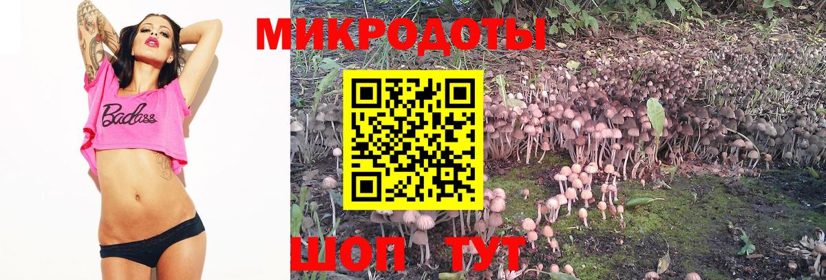 Рыбинск  Галлюциногенные грибы Cubensis  Вход с VPN 