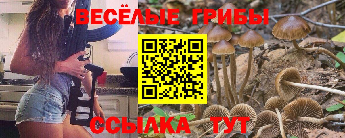 Галлюциногенные грибы мухоморы Рыбинск